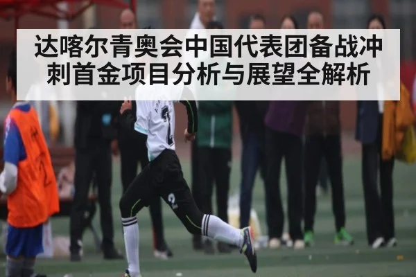 达喀尔青奥会中国代表团备战冲刺首金项目分析与展望全解析